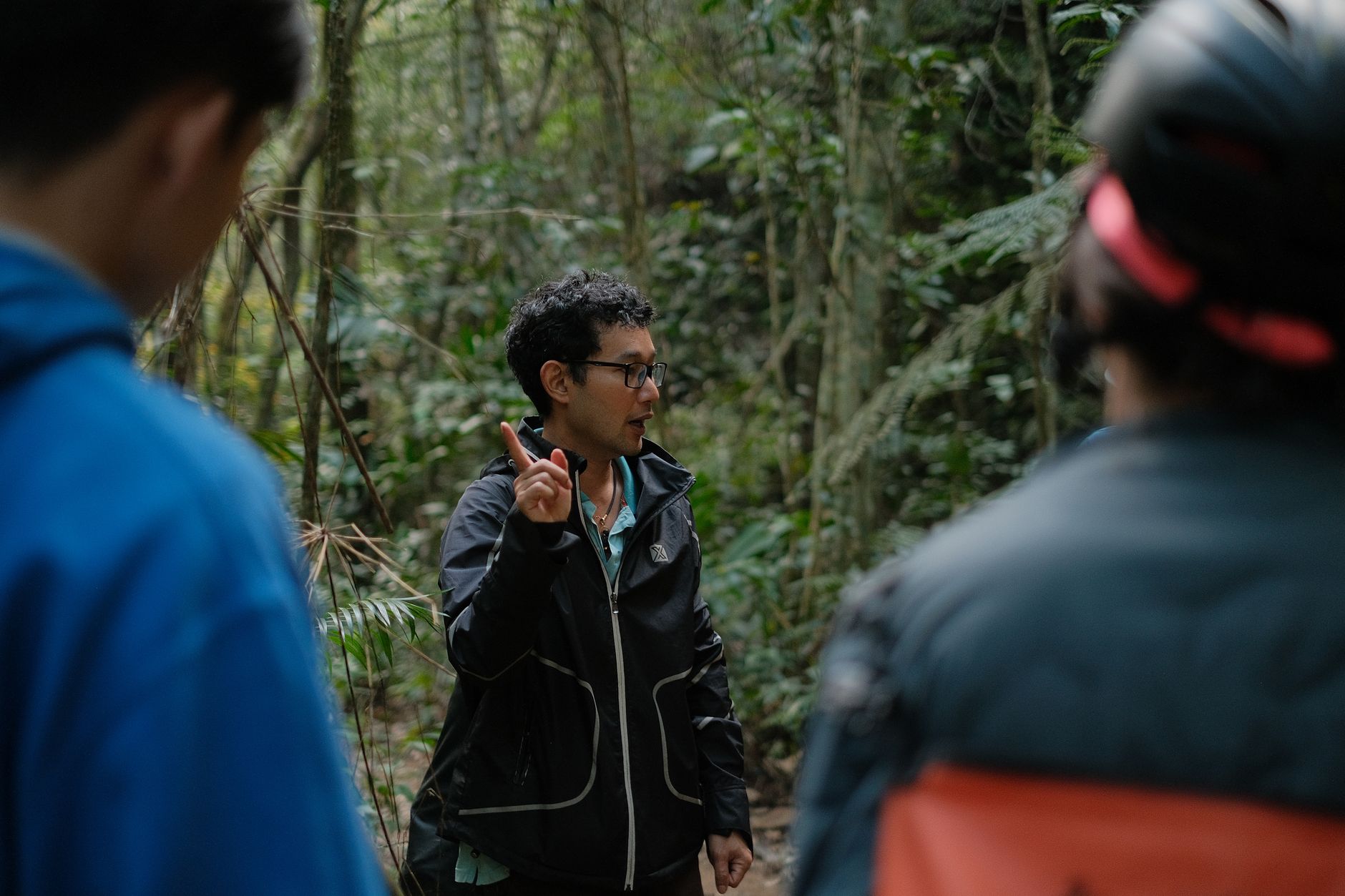 Guia de turismo orientando viajantes na floresta