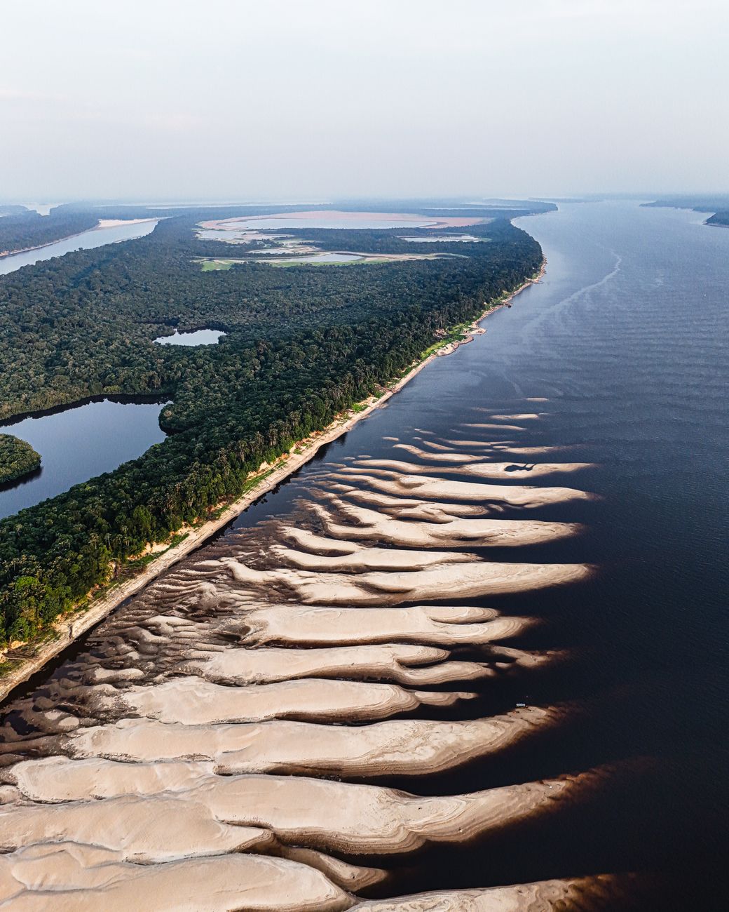 Paisagem exuberante da natureza brasileira