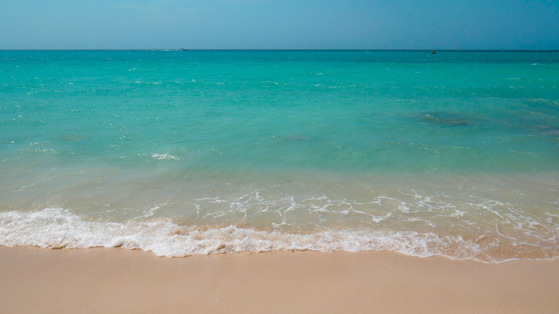 Praia paradisíaca do Nordeste brasileiro